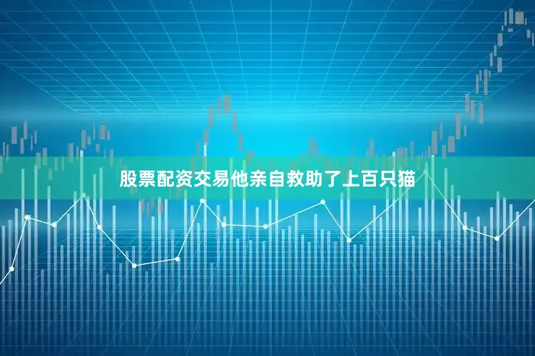 股票配资交易他亲自救助了上百只猫