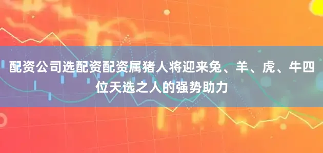 配资公司选配资配资属猪人将迎来兔、羊、虎、牛四位天选之人的强势助力