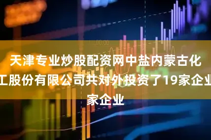 天津专业炒股配资网中盐内蒙古化工股份有限公司共对外投资了19家企业